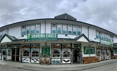 Salmon Landing Market