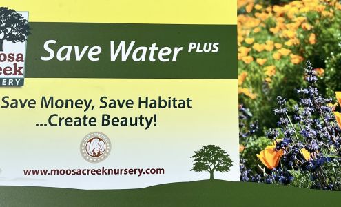 Moosa Creek Nursery 27201 Cool Water Ranch Rd, Valley Center California 92082