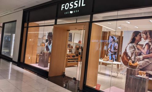 Fossil Store