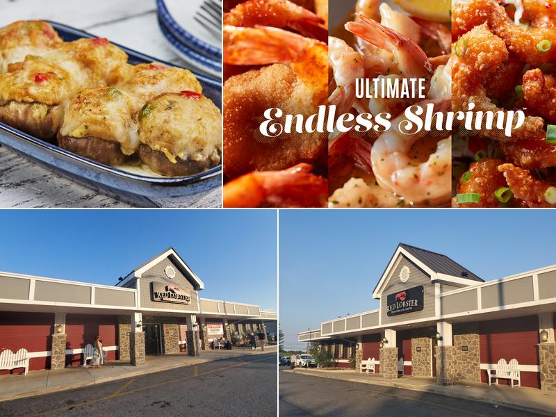 Red Lobster LOCATED ON THE CORNER OF BALTIMORE PIKE & BISHOP A, 1 Baltimore Pike, Springfield