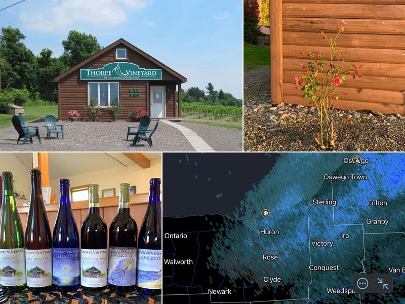 Thorpe Vineyard 8150 Chimney Heights Blvd, Wolcott