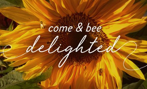 Campbell’s Gold Honey Farm and Meadery