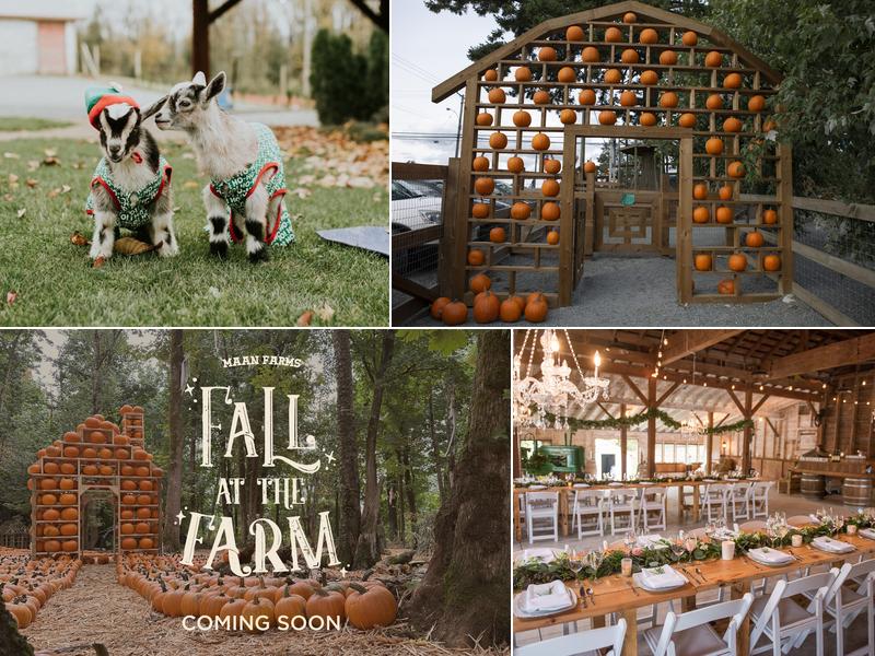 Maan Farms Market and Estate Winery