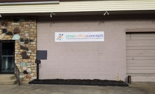 Crosscutting Concepts