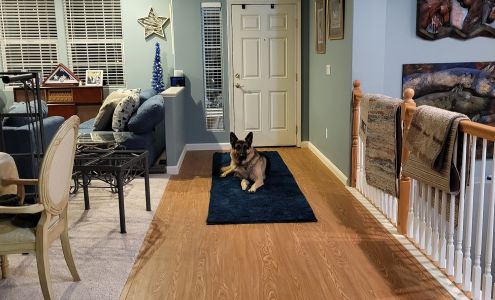 Campbell's Carpets of Nevada