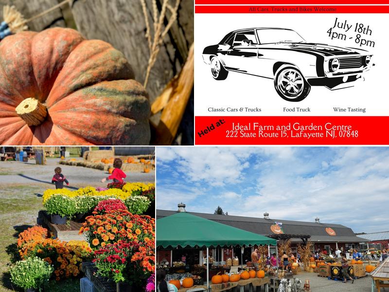 Ideal Farm and Garden Centre