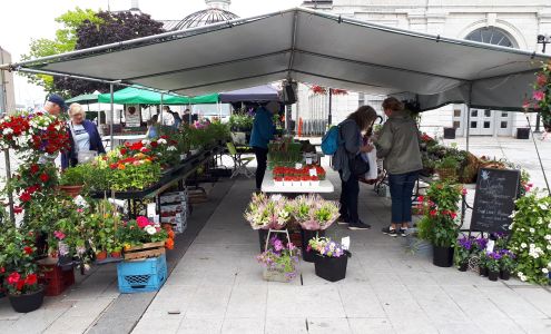 The Kingston Public Market