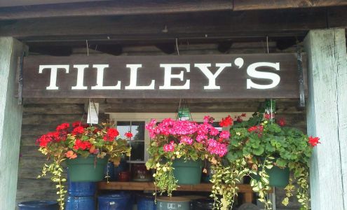 Tilley's Nursey 111 E Fairmount St, Coopersburg Pennsylvania 18036