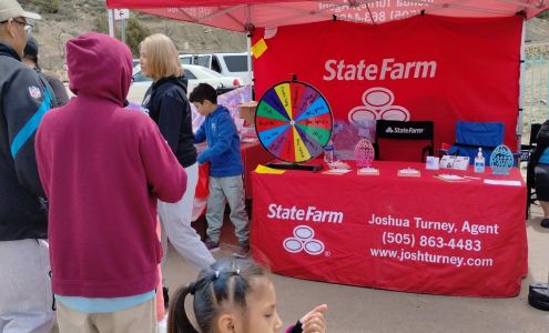 Joshua Turney - State Farm Insurance Agent