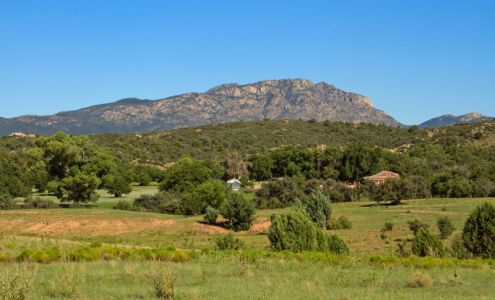 Legacy Real Estate Network by PLACE