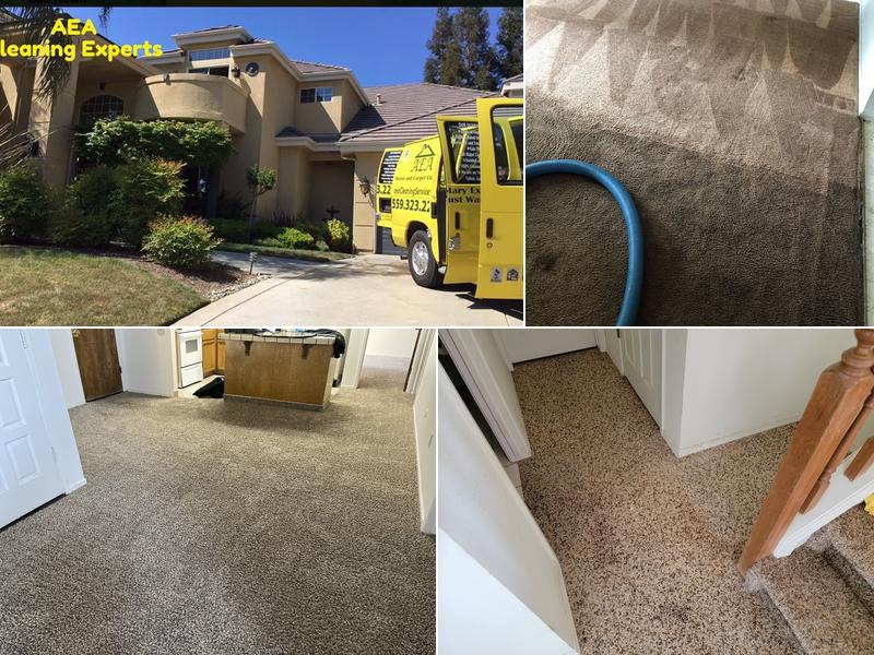 AEA Carpet Cleaning