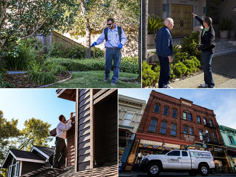 EcoGuard Pest Management