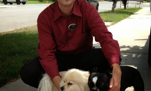 Brad Adkins Century 21 Fine Homes & Estates