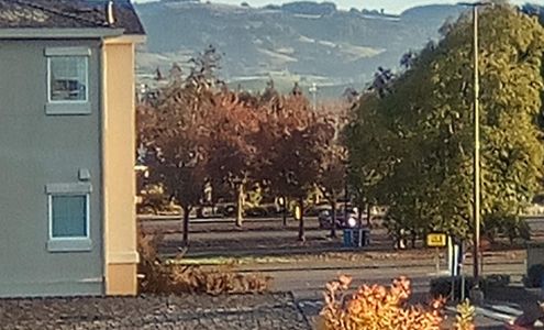 Vintage Chateau | Affordable Senior Apartments 55+