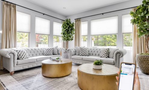 Budget Blinds of West Downtown Denver/Wheat Ridge