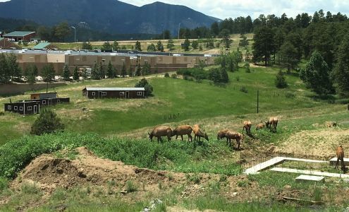 Olde Towne Golden Realty, LLC