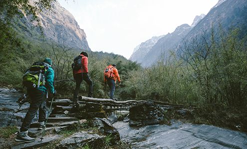 Travel Insured International, Inc.