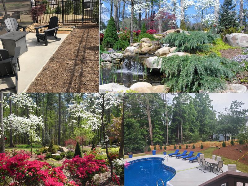 Georgia Natural Scapes