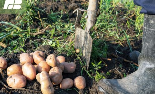 Farm Bureau Insurance