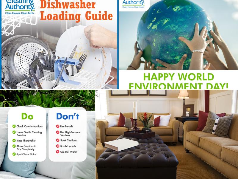 The Cleaning Authority - Plainfield