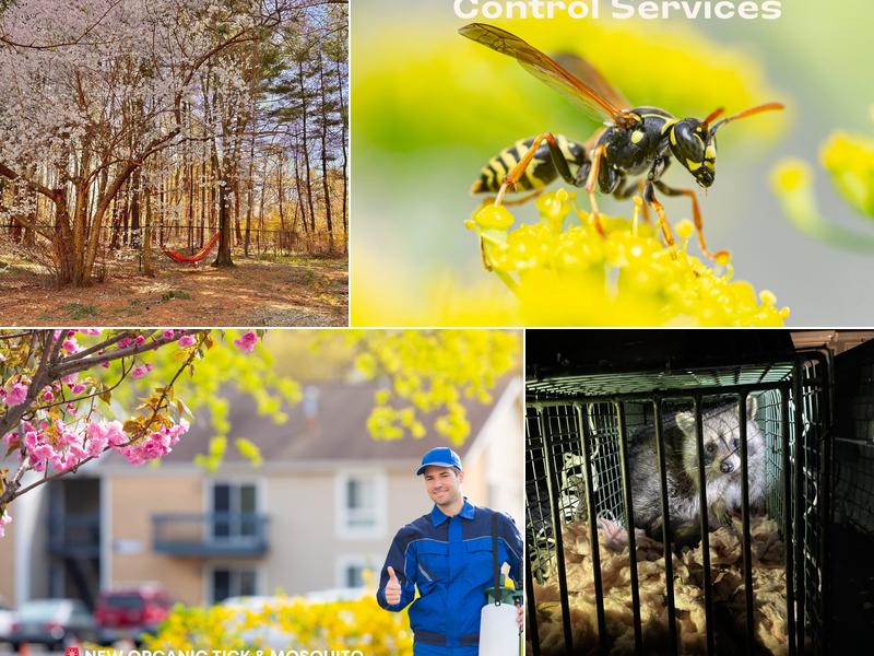 Andover Pest Control Inc.