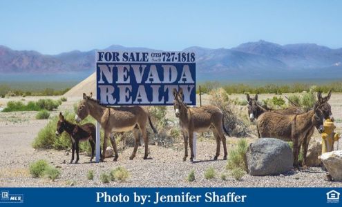 Nevada Realty