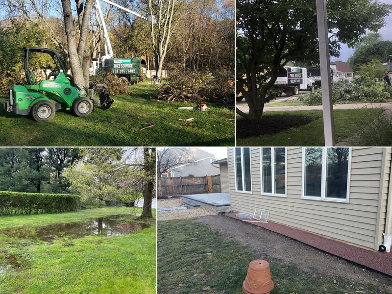 ADP Land Design and Tree Service