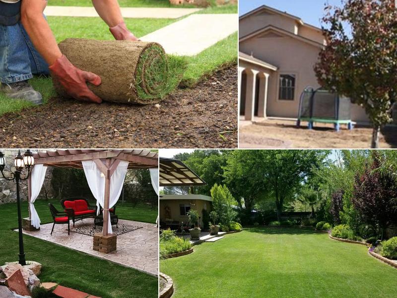 Pro-Tech Pest and Lawn Management