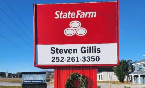 Steven Gillis - State Farm Insurance Agent