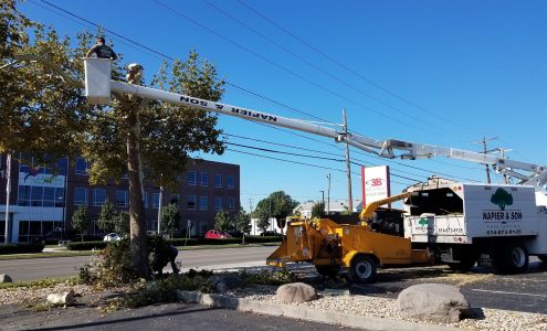 Mechanical Optimizers- Columbus