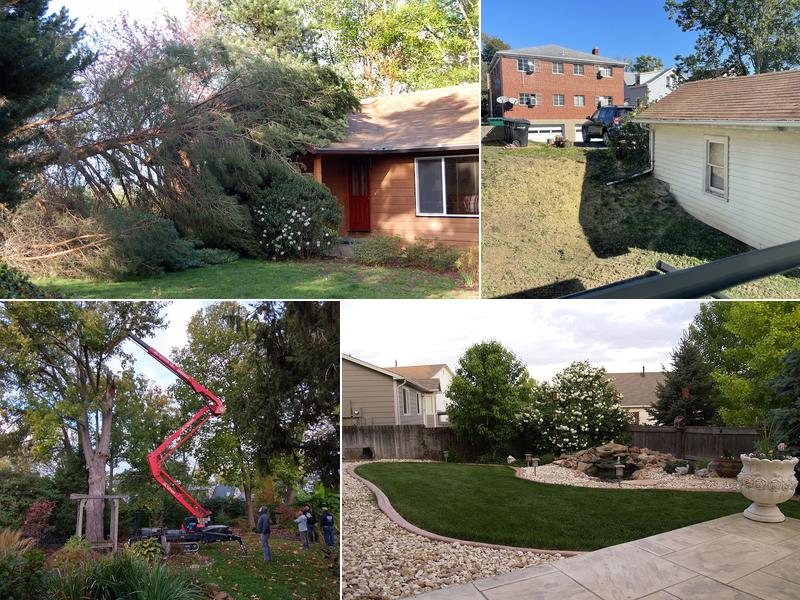 Tree Images - Professional Tree Service