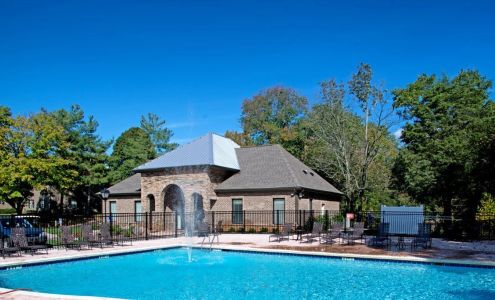 Goldelm at Cedar Bluff