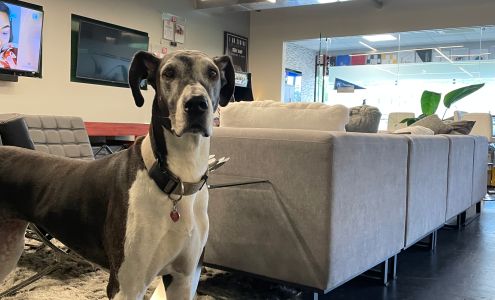 Mandy Gomez, Novus Home Mortgage, Sr. Loan Officer (nmls 744341)