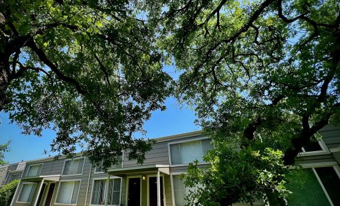 Treehouse Apartments and Condominiums