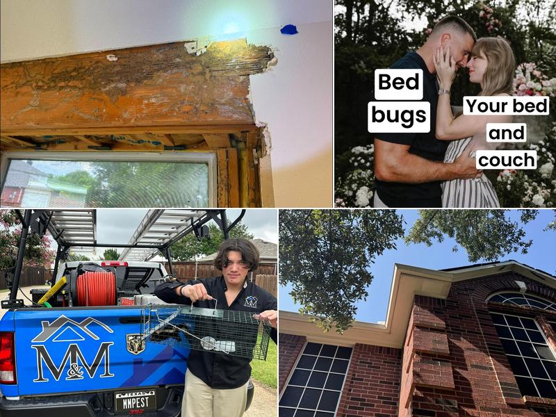 M&M Pest and Wildlife LLC