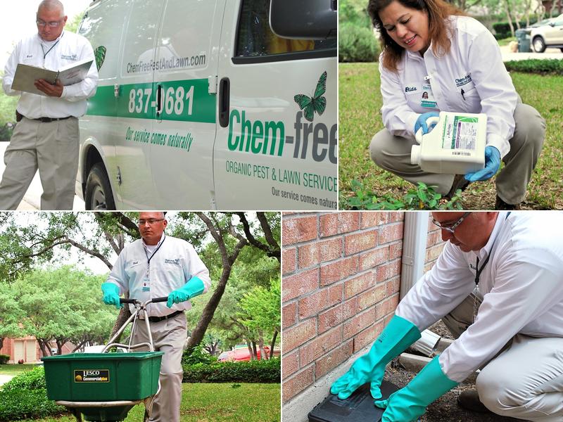 Chem-free Organic Pest & Lawn Services