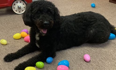 Sarah Tilson-Miano - State Farm Insurance Agent