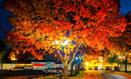 Cedar Creek Village I