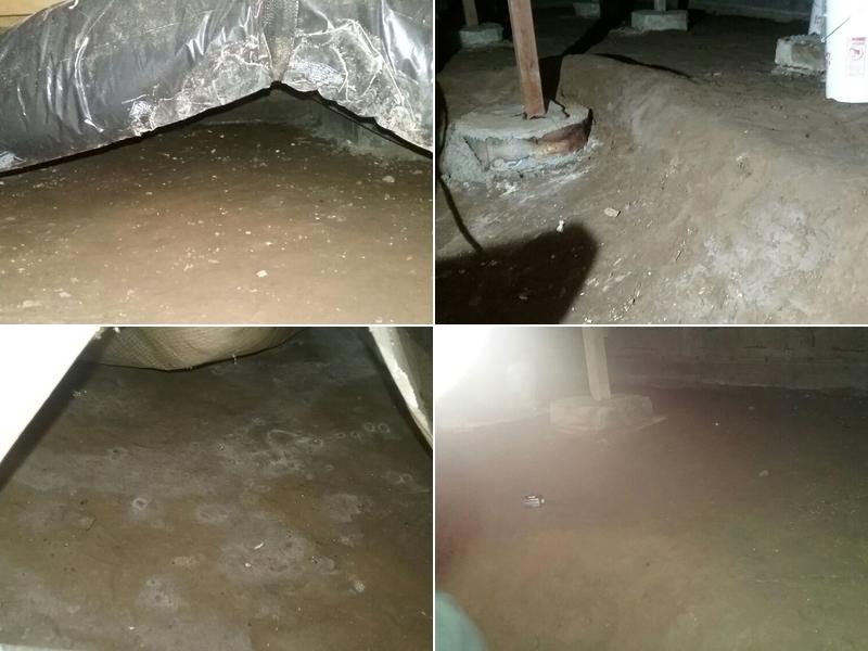 Lifespan Systems, Inc.