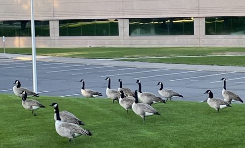 The Lofts at Innovation Center