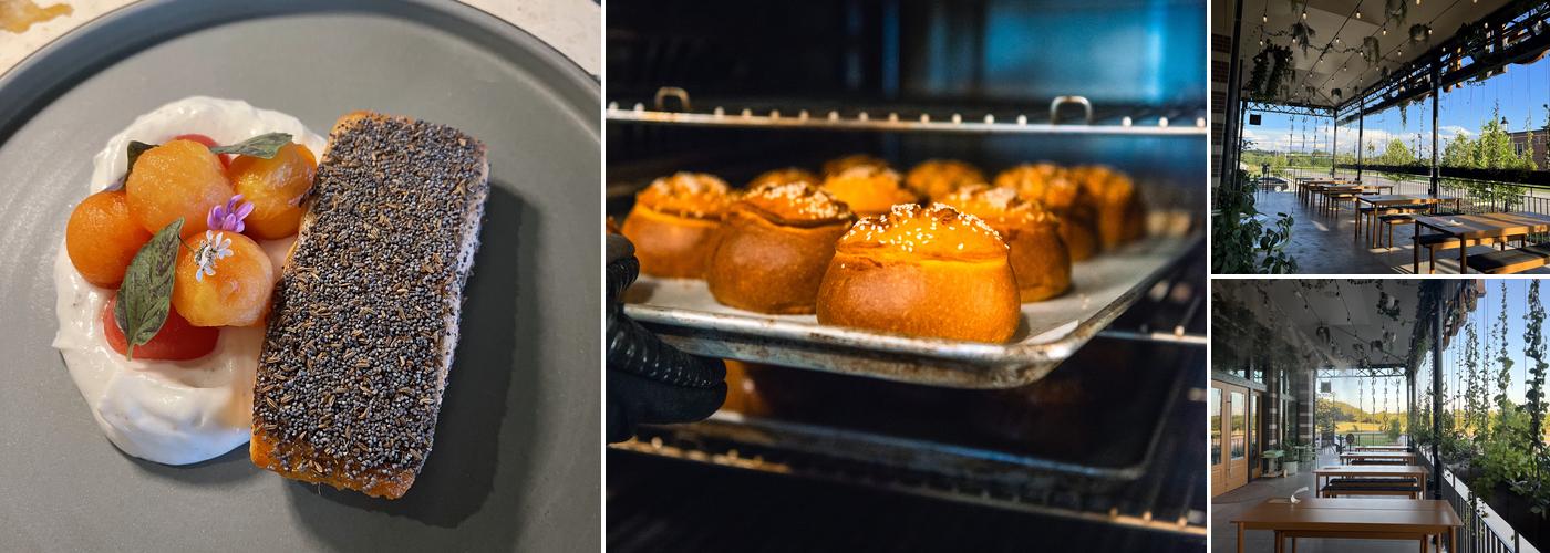 Hail Fellow Well Met