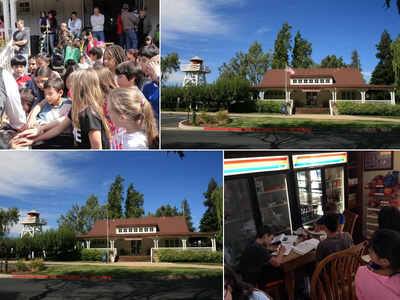 Redbridge General Store