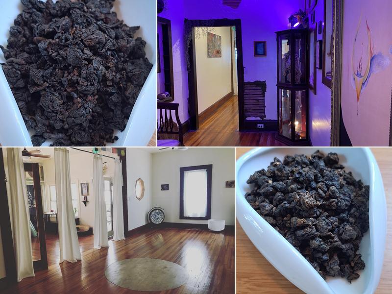 House Of Waking Life - HOWL