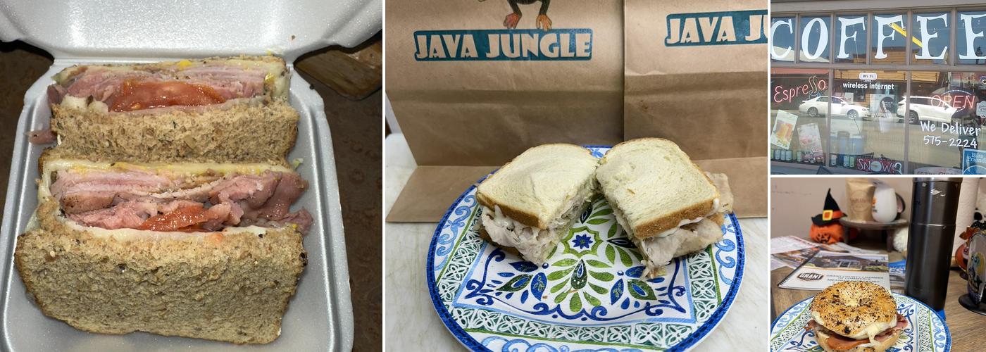 Java Jungle & Tropical Tan