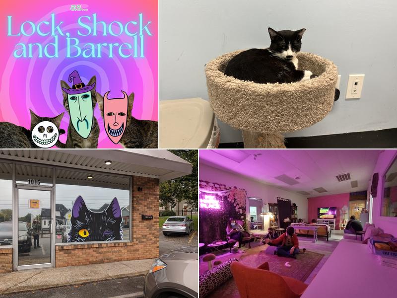 Scruffy's Cafe 1015 N Broadway, Knoxville