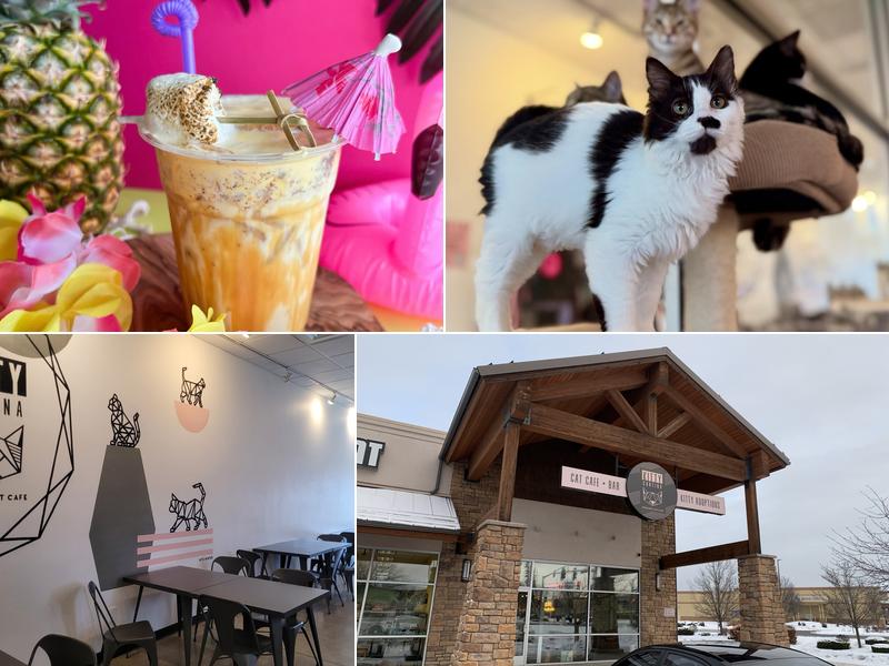 Kitty Cantina 6704 N Nevada St #1, Spokane