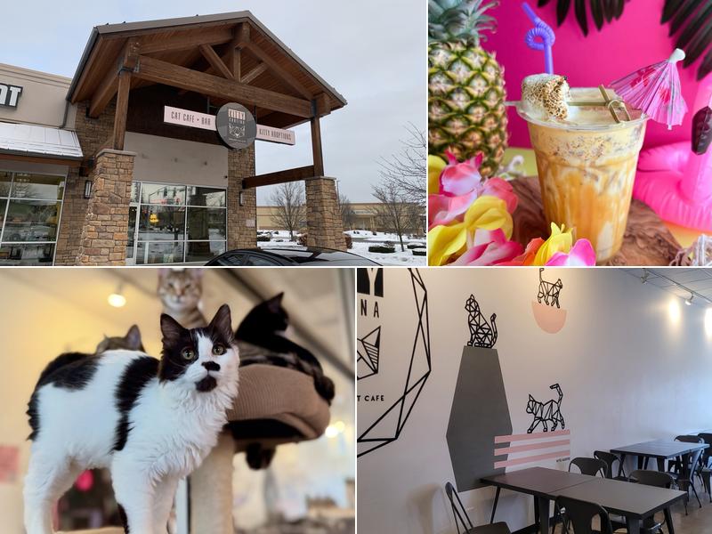 Kitty Cantina 6704 N Nevada St #1, Spokane