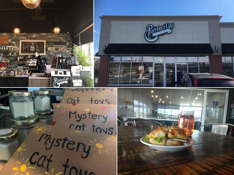 The Purrfect Cup - A Cat Cafe 580 Two Nations Croisement Unit 9, Fredericton