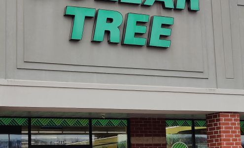 Dollar Tree Manchester