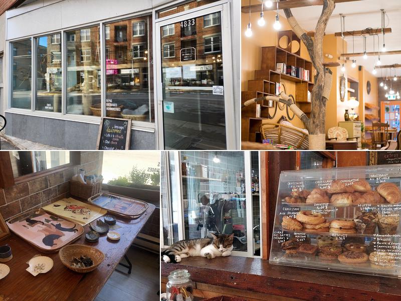 Café Chato 4833 Rue de Verdun, Verdun